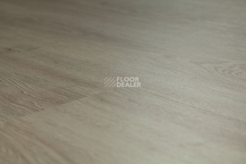 Tarkett Funky House GUSTO фото 2 | FLOORDEALER